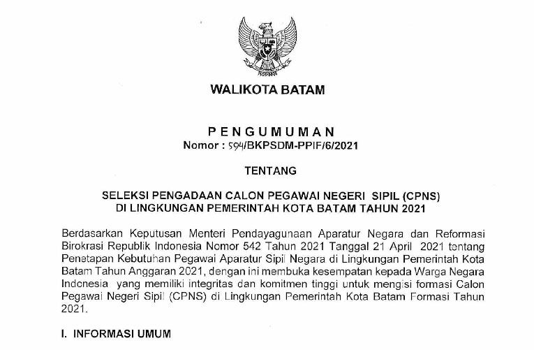 Pemko Batam Buka Lowongan Untuk 2 958 Formasi CPNS Sijori Id