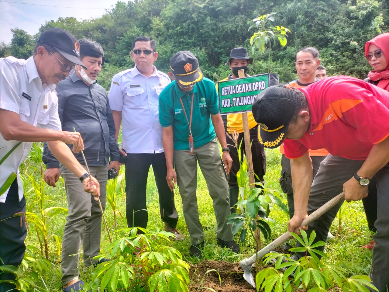 PERHUTANI TANAM 15 3 JUTA POHON SELAMA 2023 Halojatim