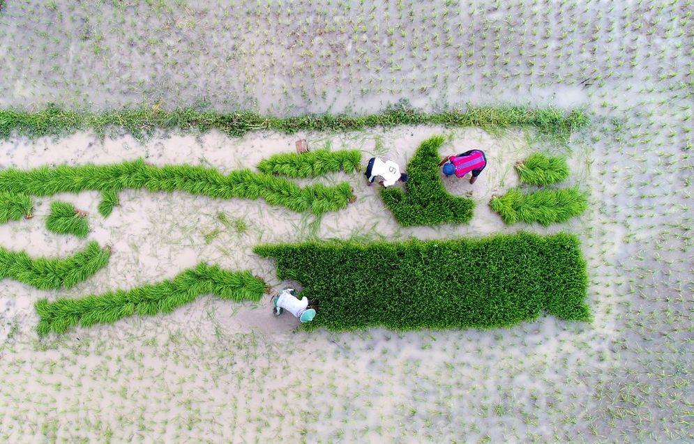 Para petani bercocok tanam di kawasan Ndayu, Kembang, Pacitan, Selasa (26/12/2017).