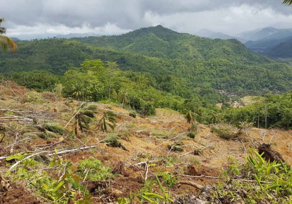 Longsoran rotasional pada lereng bagian bawah di Dusun Ciwalan, Desa Ponggok, Kecamatan Pacitan