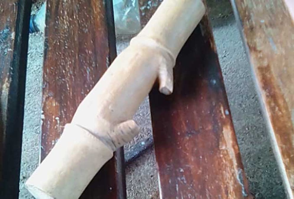 Bambu petuk milik Yuan