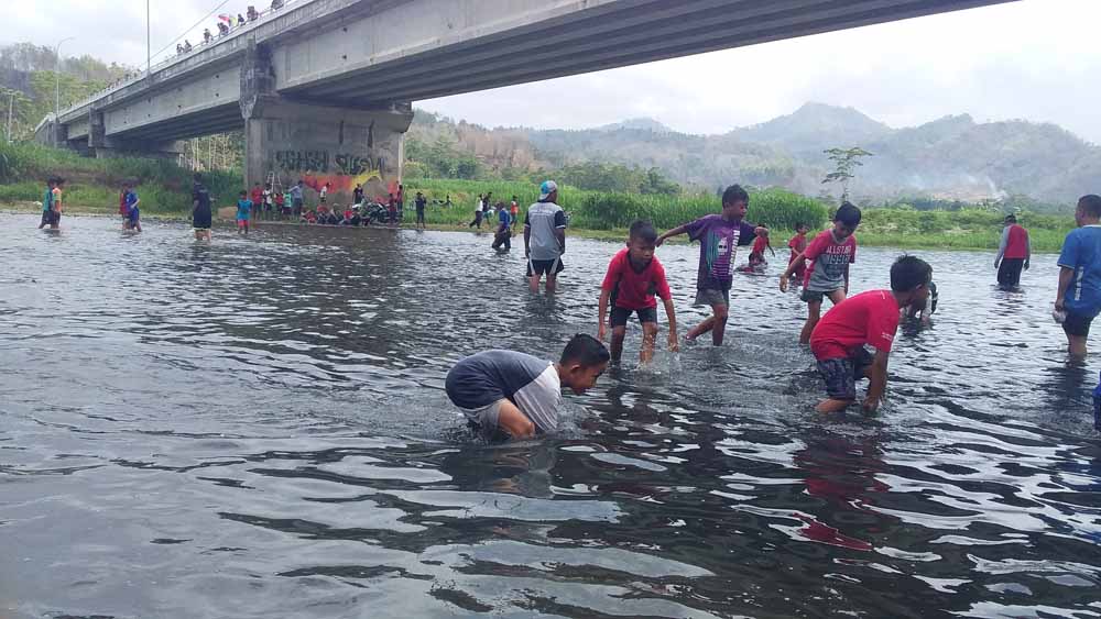 Peserta lomba gogoh ikan di Sungai Grindulu Minggu (21/10/2018)