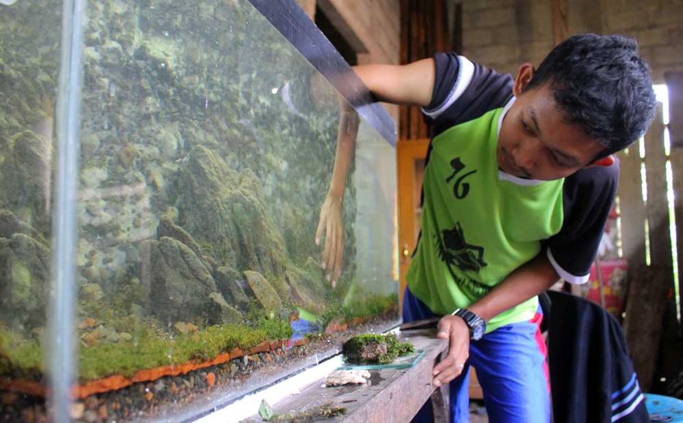 Ngudi Hayuningtyas sedang menyelesaikan akuarium buatannya