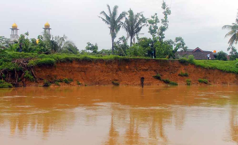 Tanggul pembatas Sungai Jelok di Dusun Mendole, Desa Sirnoboyo, Kecamatan Pacitan yang kian hari kian menipis akibat erosi sungai.