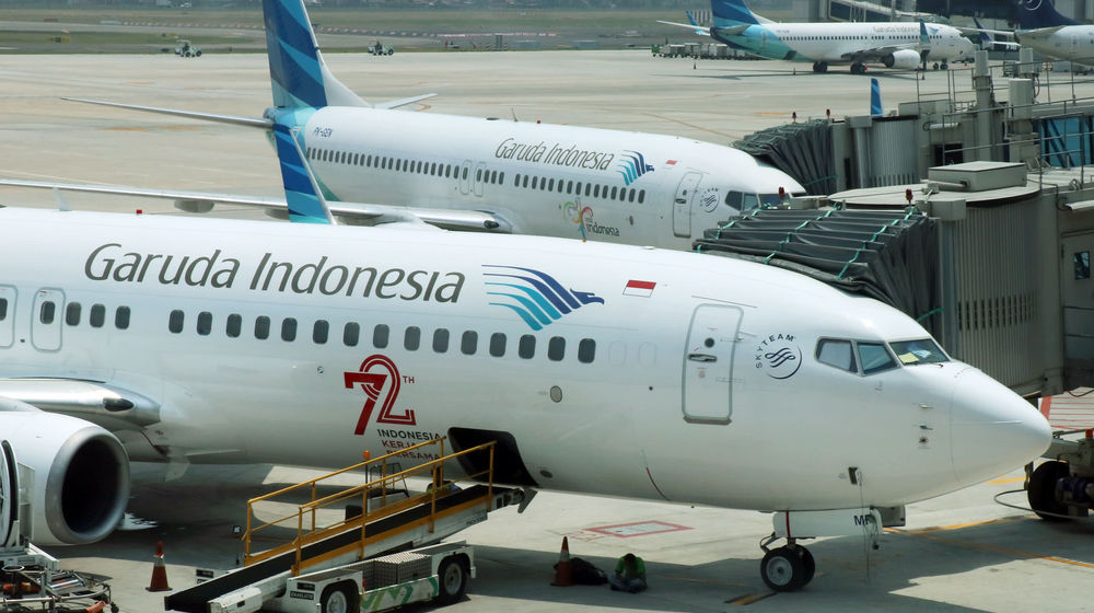 <p>Pesawat Garuda Airlines/Wi</p>
