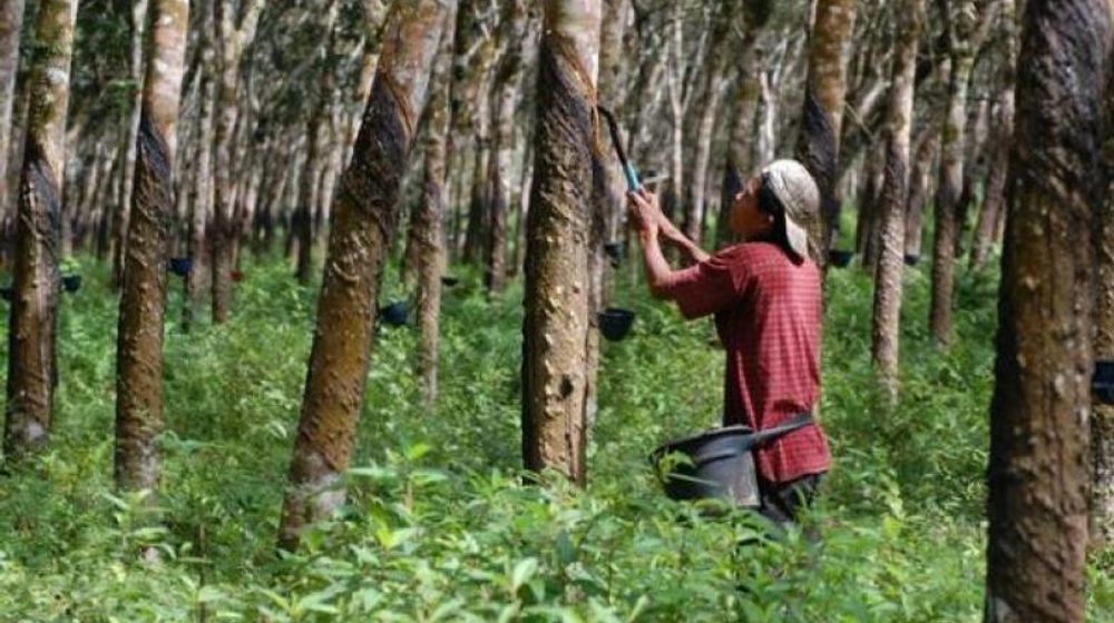 Ekonomi Restoratif: Harapan Baru Indonesia dari Desa