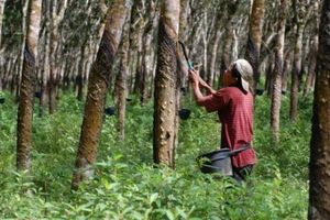 Ekonomi Restoratif: Harapan Baru Indonesia dari Desa