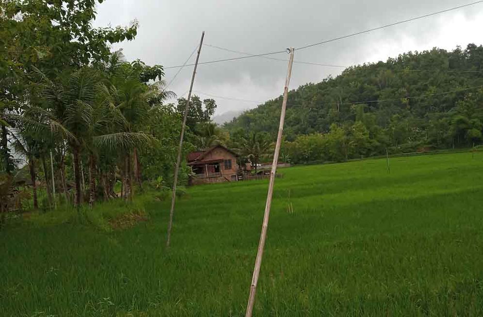 Tiang bambu harus digunakan untuk menarik arus listrik ke rumah warga Jrakah