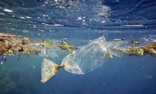 COVID-19 Bikin Limbah Medis Menggunung, LIPI Beri Solusi Daur Ulangnya