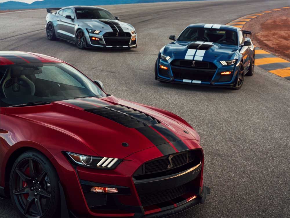 <p>Ford Shelby GT500/Ford</p>
