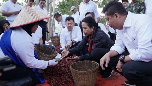 Diminati Pasar Amerika Serikat, Eropa dan Arab Saudi, Menteri BUMN Dorong PTPN XII Genjot Produksi Kopi Arabika
