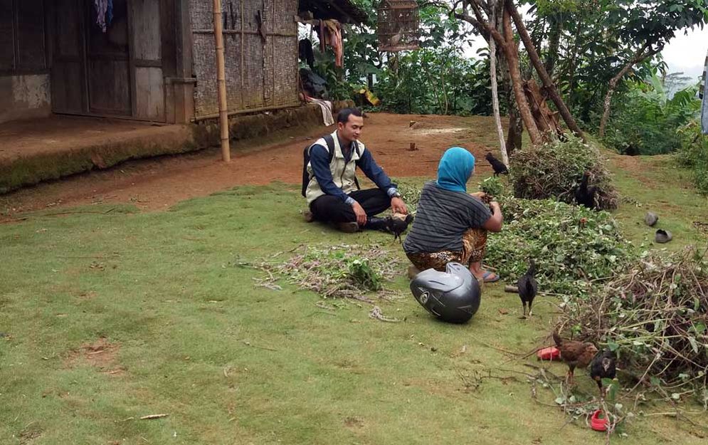 Petani Tokawi panen janggelan