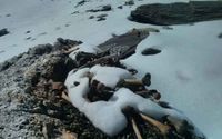 Menampung 800 Kerangka Manusia, Danau di Himalaya Ini Kian Misterius