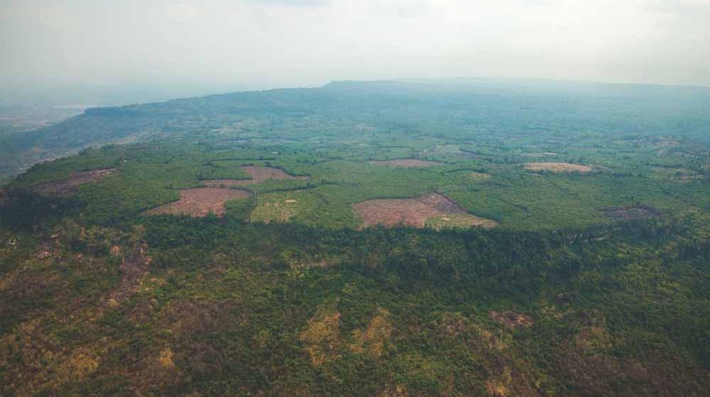 Kota Kuno Ditemukan di Tengah Hutan Kamboja