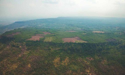 Kota Kuno Ditemukan di Tengah Hutan Kamboja