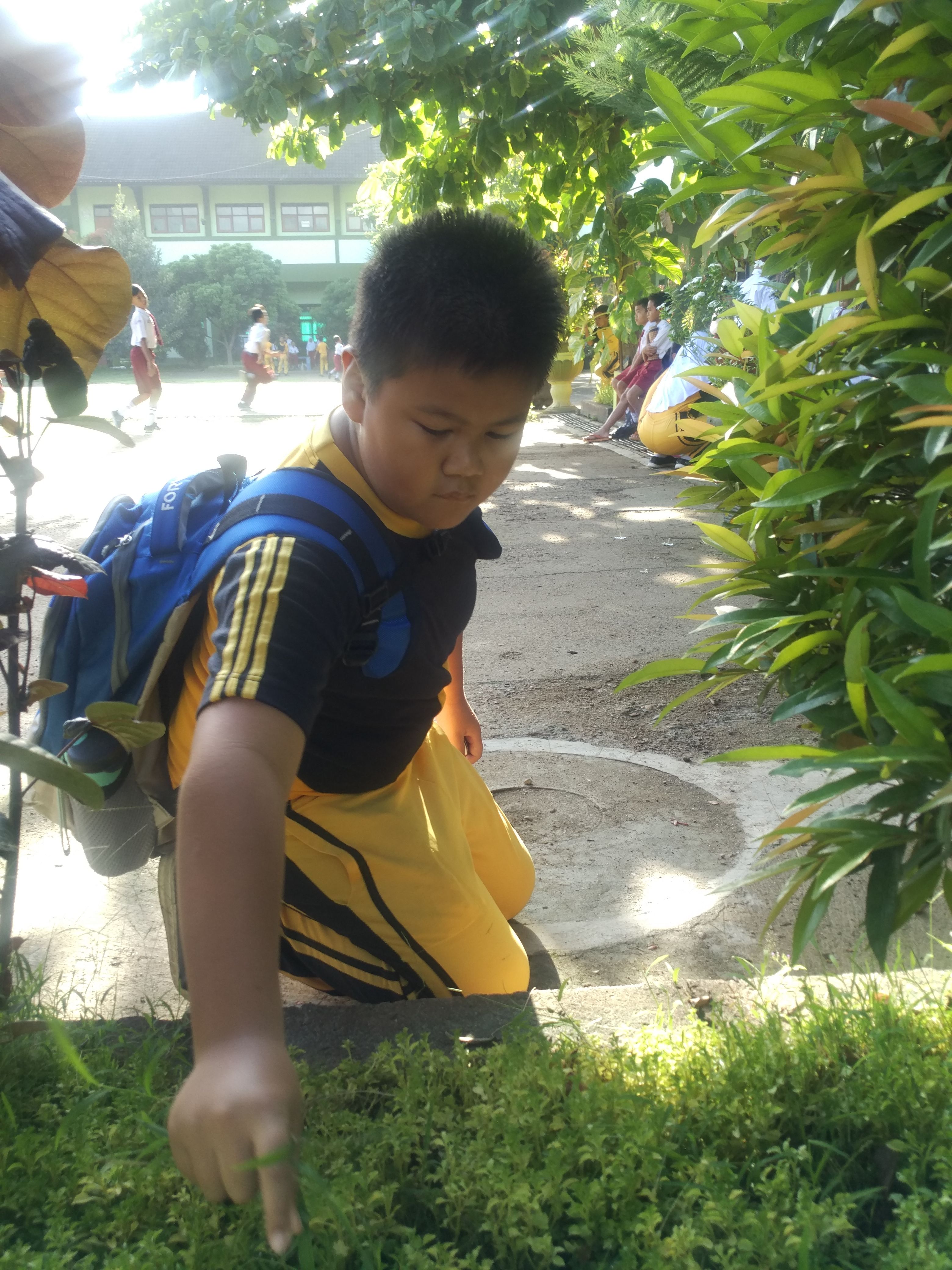 Siswa SD Paciitan cabut rumput ketika baru datang di sekolah