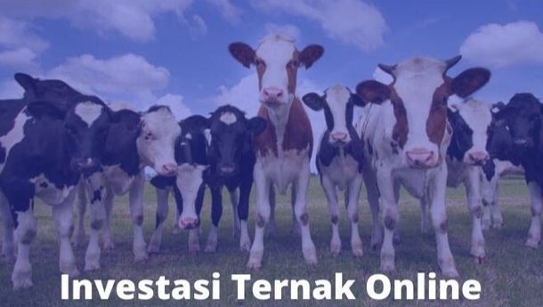 Investasi Ternak Online, Solusi Peternak di Era Digital