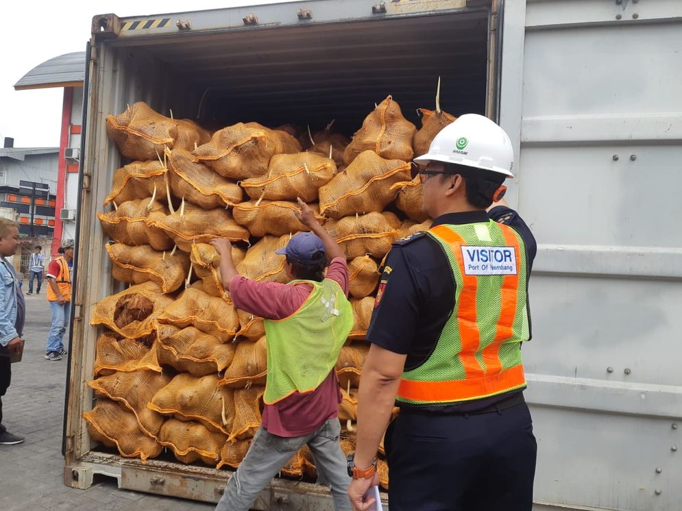 Petugas tengah memuat kelapa utuh di Pelabuhan Bom Baru Palembang.