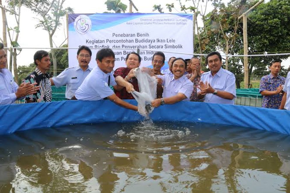 Budi daya perikanan