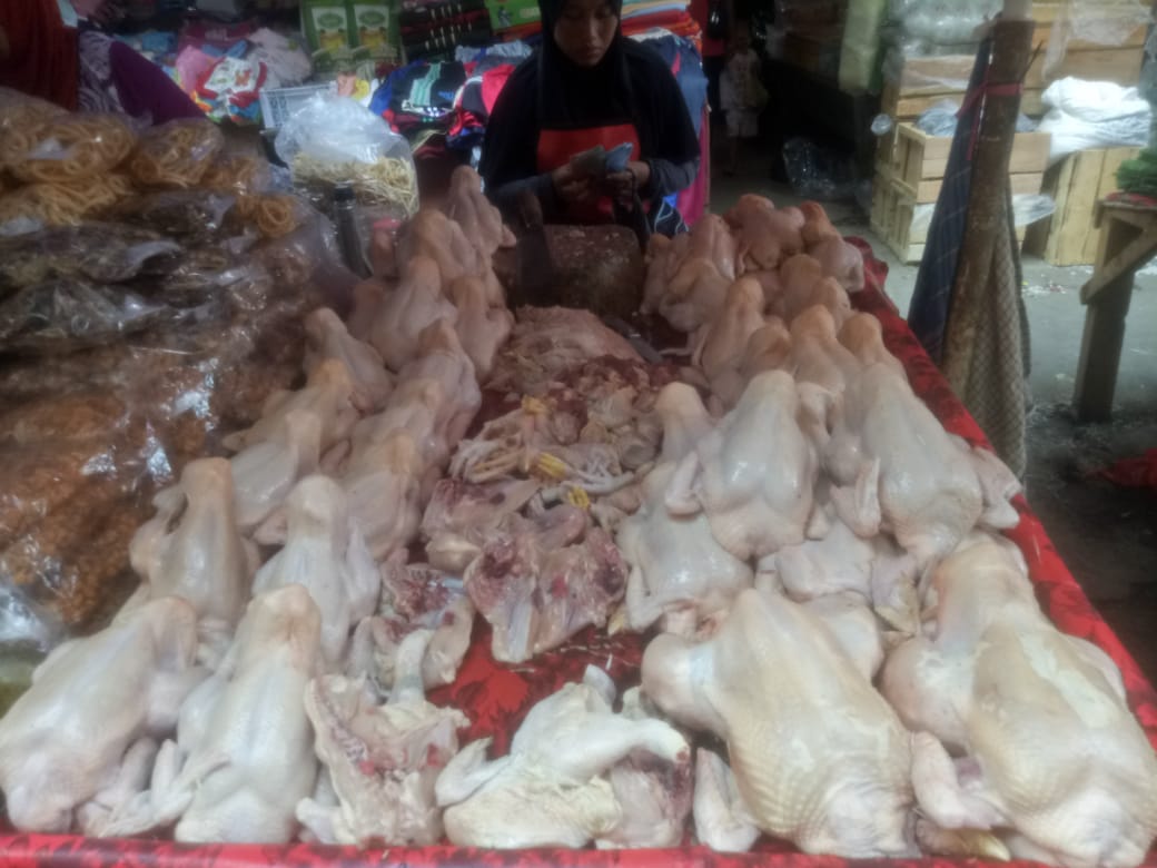 (Ilustrasi) Pedagang ayam