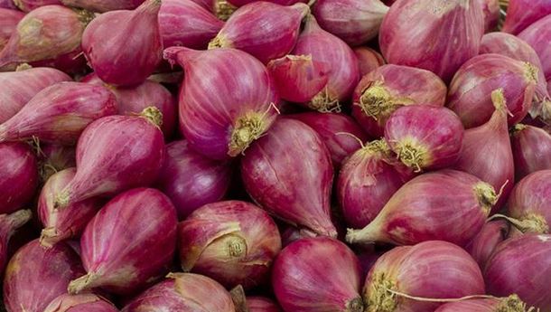 Bawang Merah Penyumbang Inflasi Terbesar di Provinsi Lampung-kabarsiger