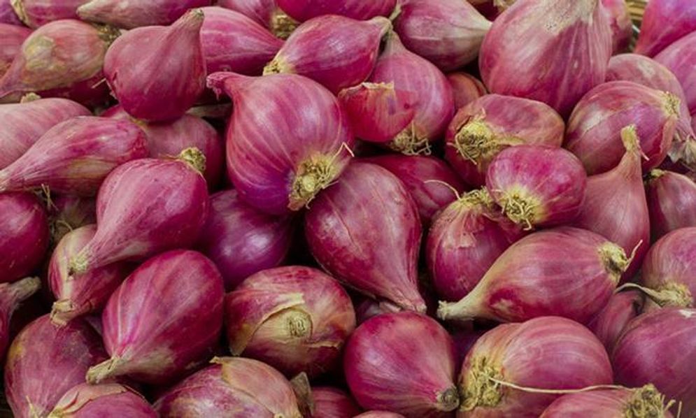 Bawang merah.