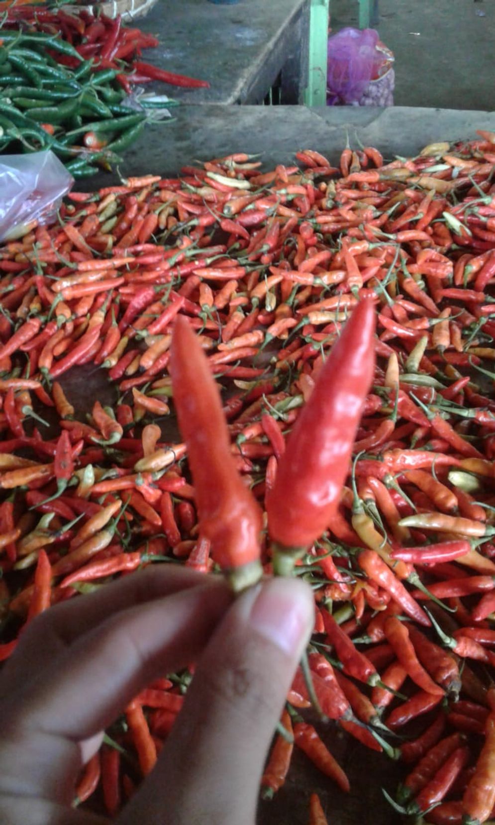 Cabai di pasar tradisional