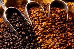 <p>ayooberita.com</p>