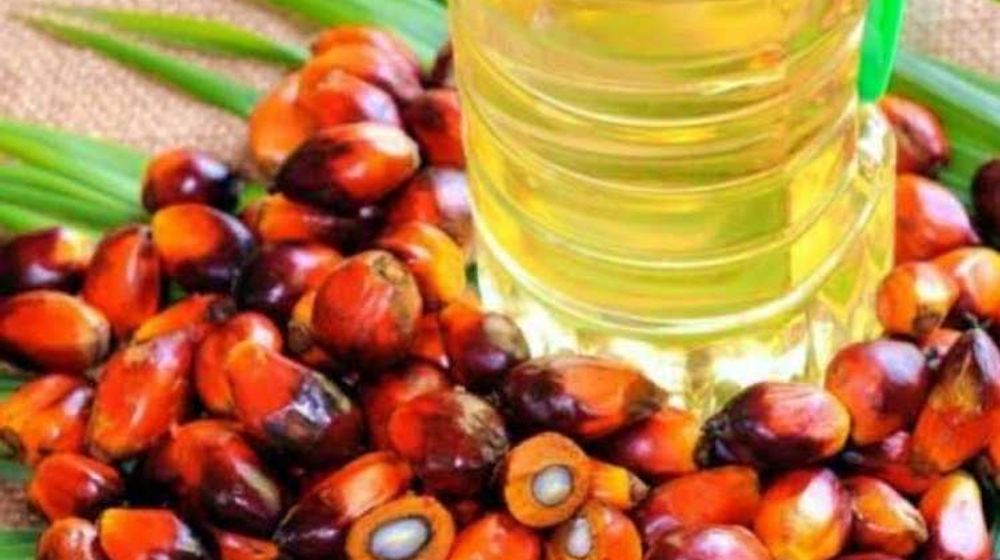 Ilustrasi minyak sawit