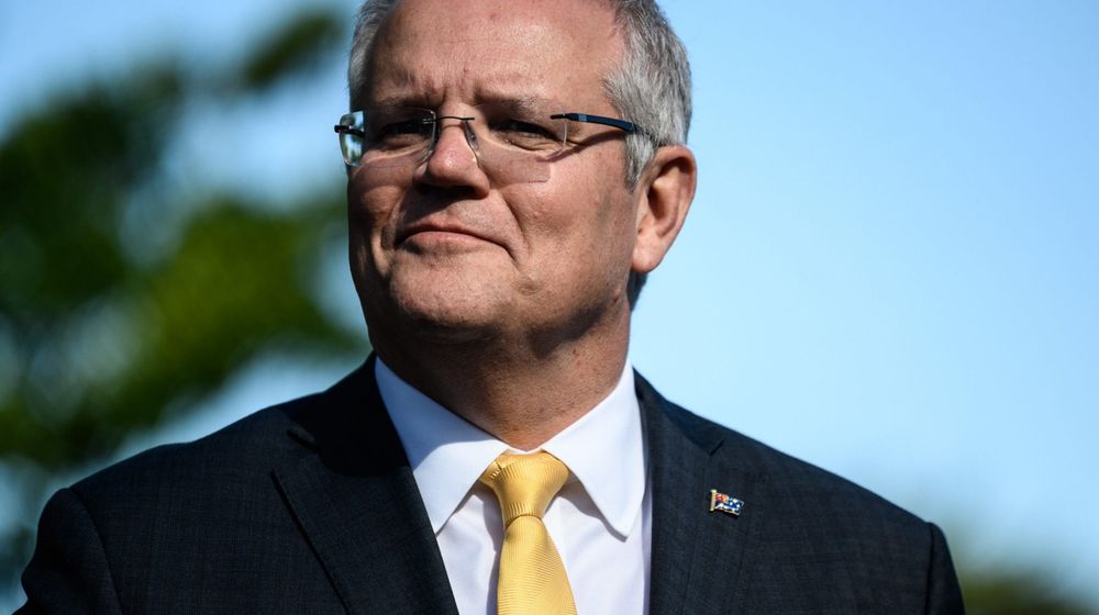 <p>moosegazette.net</p>
