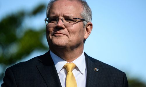 <p>moosegazette.net</p>