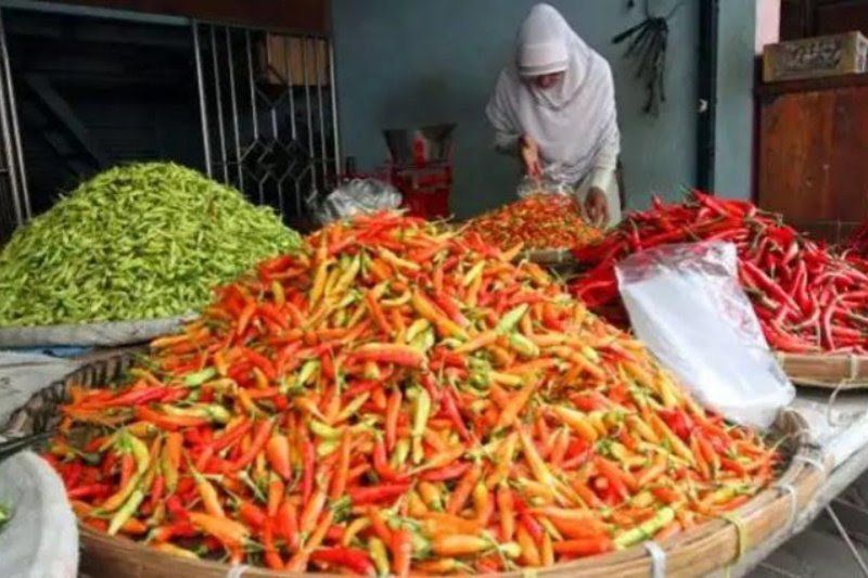 Ilustrasi penjual cabai di pasar