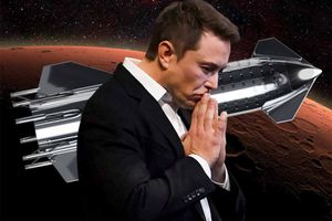<p>Elon Musk</p>
