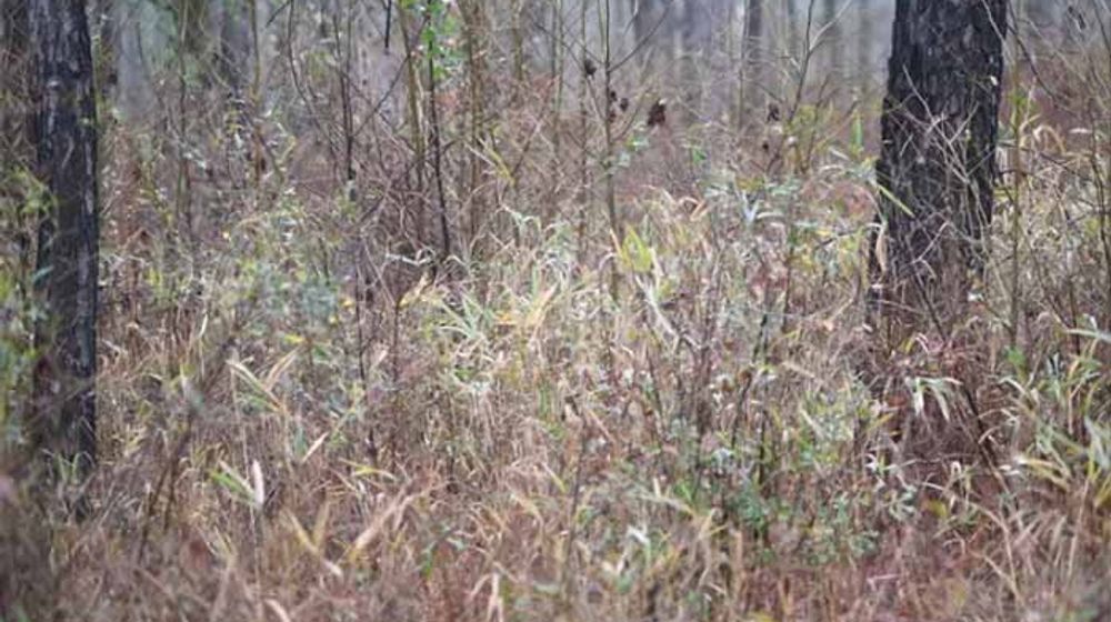 Anda Punya Waktu 14 Detik Untuk Menemukan Dimana Sniper Ini Bersembunyi