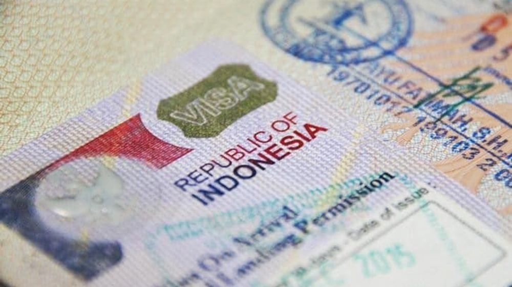 Terbitkan Golden Visa, Menteri Investasi Sebutkan Syaratnya