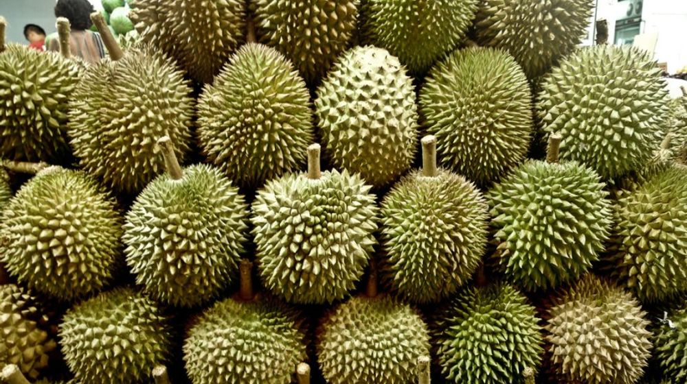 Pesta Durian Blok M Square: Serunya Berburu Durian Lezat Setelah Sebulan Berpuasa