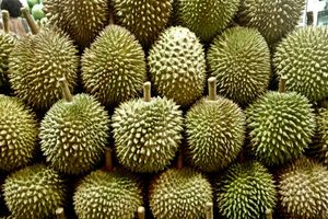 Pesta Durian Blok M Square: Serunya Berburu Durian Lezat Setelah Sebulan Berpuasa