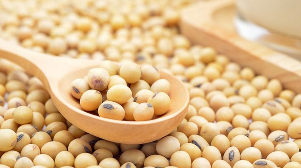 Ternyata Tahu dan Tempe Berpotensi Dominasi Pasar Australia