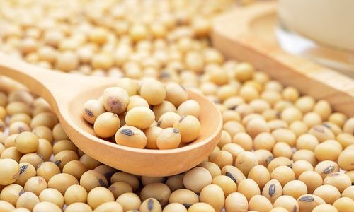 Ternyata Tahu dan Tempe Berpotensi Dominasi Pasar Australia