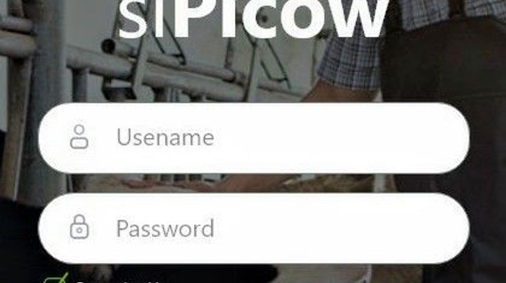 <p>Halaman awal aplikasi SiPicow</p>
