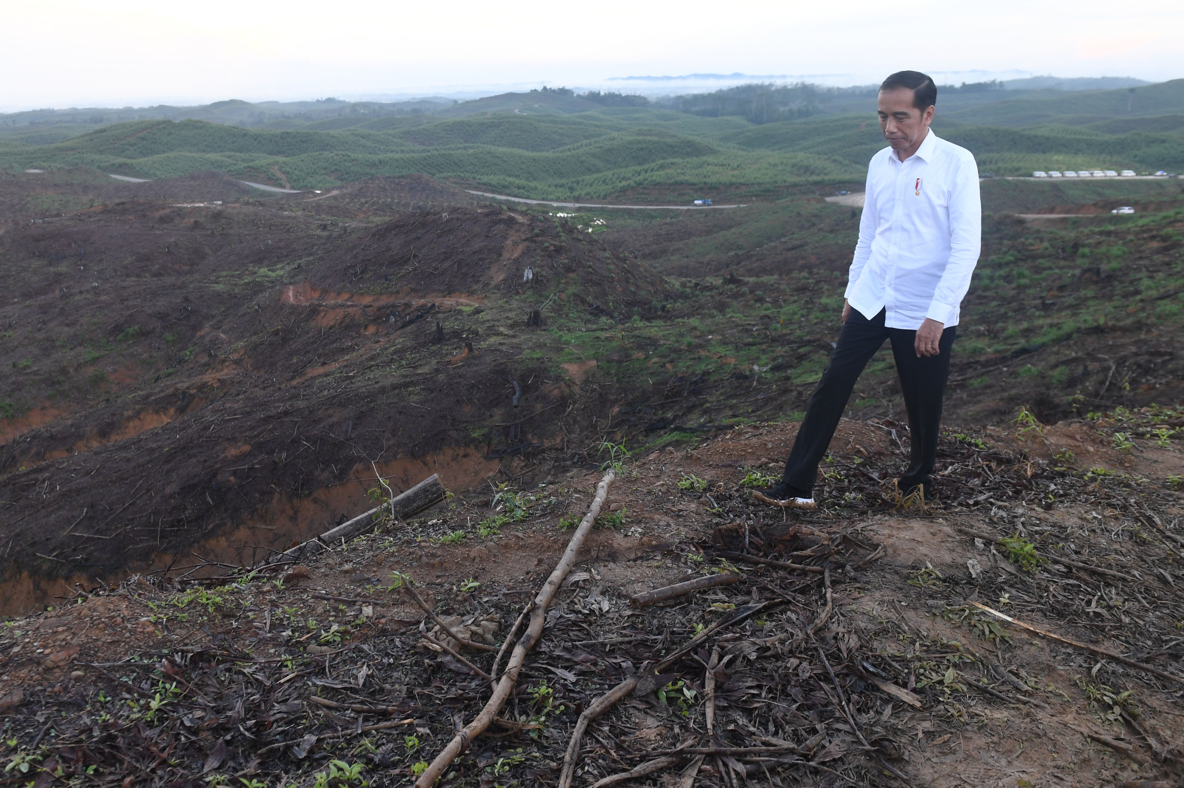 <p>Presiden Joko Widodo meninjau lokasi rencana ibu kota baru di Sepaku, Penajam Paser Utara, Kalimantan Timur, Selasa (17/12/2019). ANTARA FOTO/Akbar Nugroho Gumay/aww.</p>
