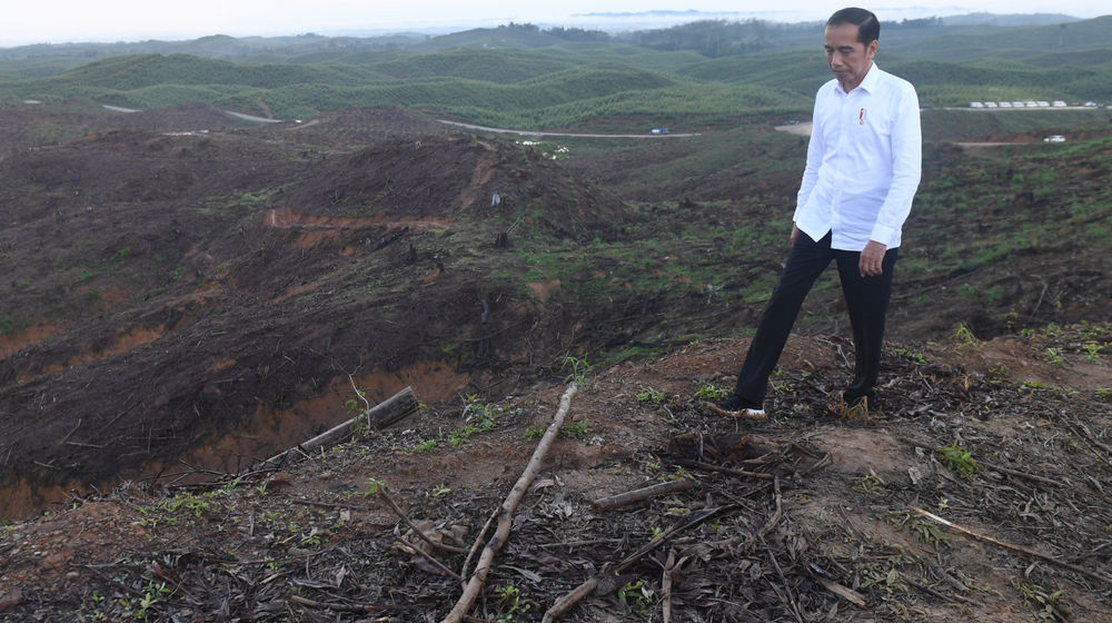 <p>Presiden Joko Widodo meninjau lokasi rencana ibu kota baru di Sepaku, Penajam Paser Utara, Kalimantan Timur, Selasa (17/12/2019). ANTARA FOTO/Akbar Nugroho Gumay/aww.</p>
