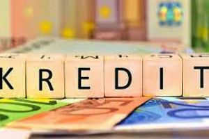 Kredit dan pengawasan risiko