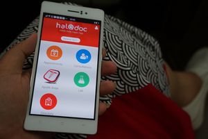 Halodoc Luncurkan Konsultasi Online Hewan Peliharaan