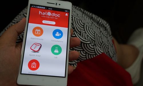 Halodoc Luncurkan Konsultasi Online Hewan Peliharaan