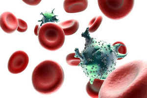 <p>virus HIV/ AIDS, Sumber: rumahcemara.or.id</p>
