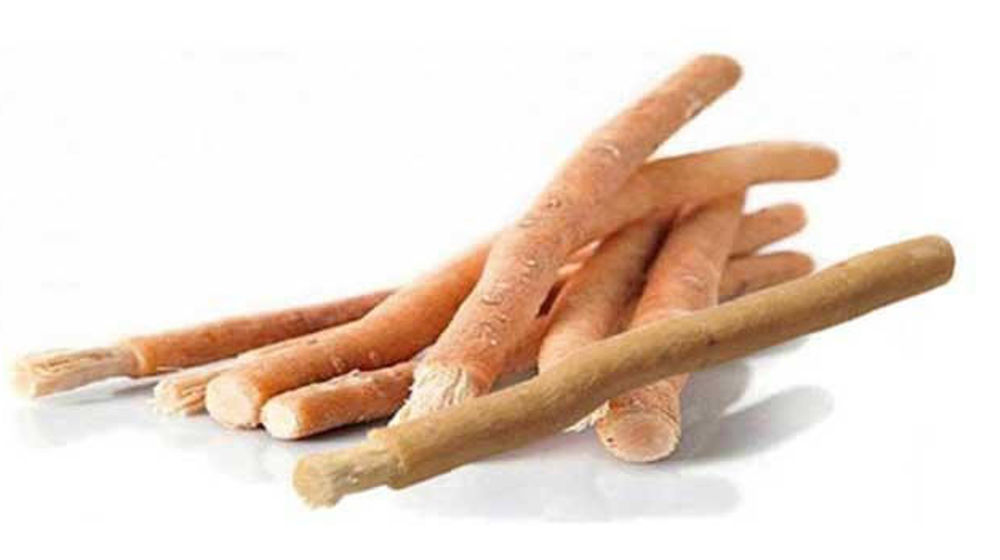 Siwak, Kayu Ajaib Pembersih Mulut dan Gigi