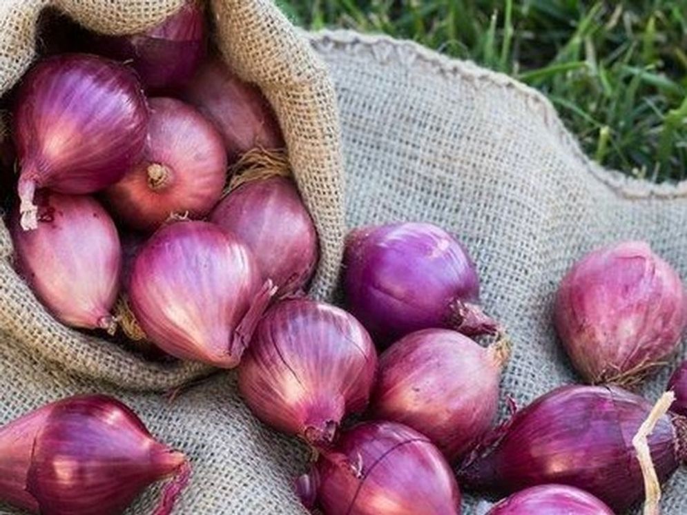 Bawang merah salah satu komoditas penyumbang deflasi kota Bandar Lampung