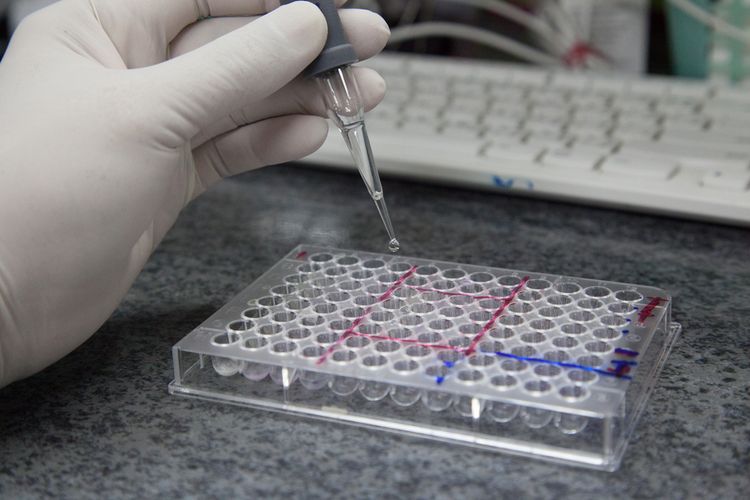 Corna Test