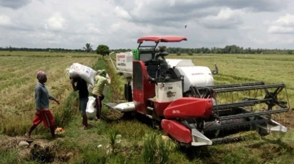 <p>Petani tengah memanen padi. / Dok. Kementan</p>
